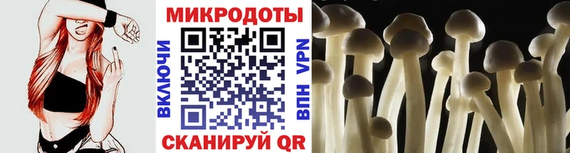 хочу   Питкяранта  Псилоцибиновые грибы GOLDEN TEACHER 